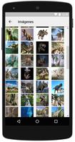 Fotos de Dinosaurios capture d'écran 1