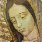 Imagenes de la Virgen de Guada icône