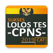 kunci jawaban Soal CAT Cpns 2019 (Dijamin Lulus)
