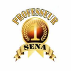 Rtv Professeur Sena ikon