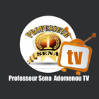 Professeur Sena Adomenou TV ícone