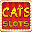 Cats Slots Casino Vegas APK