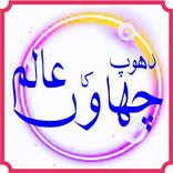 chaon hy kia dhoop ka alam hy