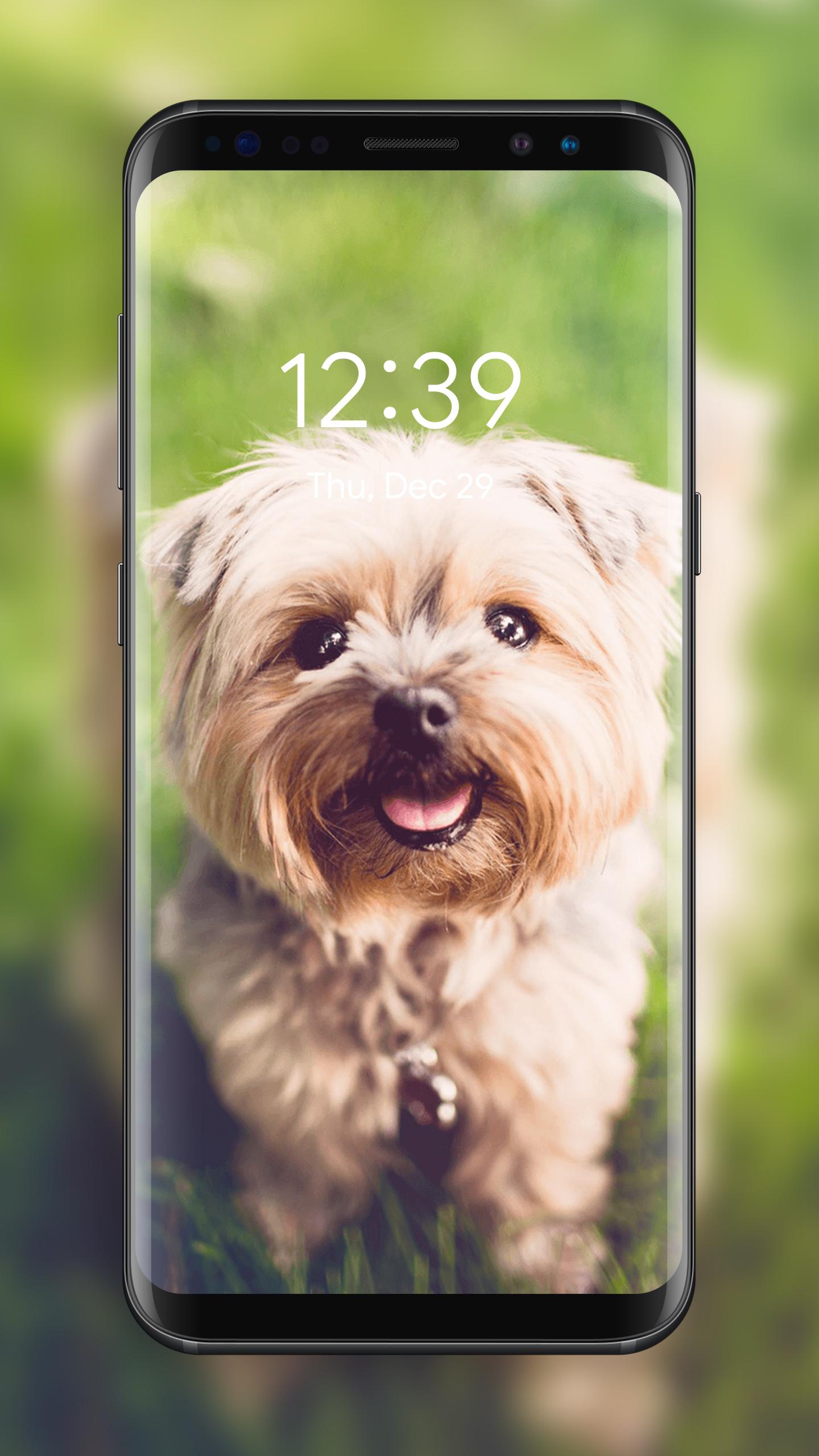 Infinity Wallpapers APK for Android Download