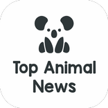 Top Animal News