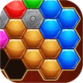 Hexagon Puzzle