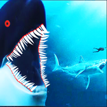 Hungry Killer Whale : Fish Games