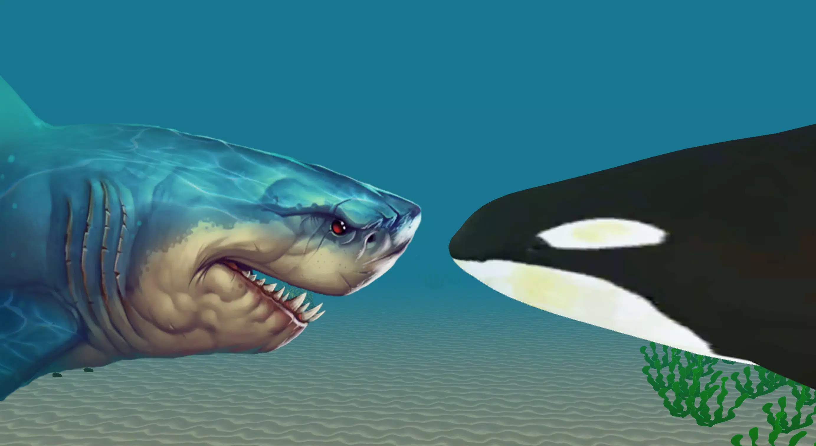 Megalodon Shark Vs Killer Whale