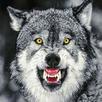 Hungry Wolf : Wolf Games APK