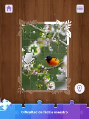 Descargar XAPK de PuzzleTwist: Juego Antiestrés
