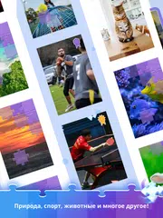 Скачать PuzzleTwist: Пазл Антистресс XAPK