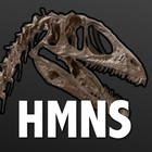 Access HMNS icono