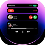 Dynamic Island notch Android