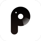 P2 Pro icône