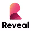 Reveal BI