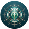 CarGorithm APK