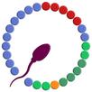 Ovulation Tracker & Fertility APK