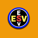 Expatriate service VPN APK
