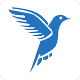 APK Bulbul News - أخبار بلبل