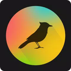 TaoMix 2 - Relax with Nature S APK 下載