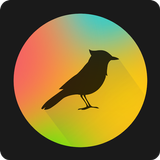 TaoMix 2 icono