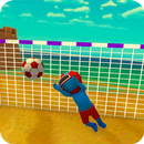 Crazy Fun Football 3D APK