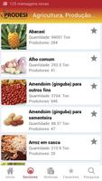 Feito em Angola 포스터