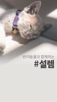 반려동물과함께하는#설렘(진주점) الملصق