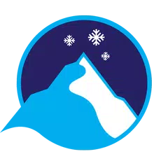 Webcams and Snow reports XAPK download