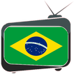 Sistema brasileiro de televisão ao vivo
