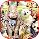 Animals ringtones APK