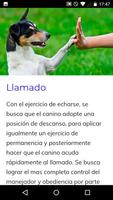 Curso de Adiestramiento Canino скриншот 3