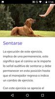 Curso de Adiestramiento Canino скриншот 2
