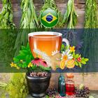 Plantas medicinais icon
