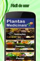 Plantas medicinais poster