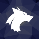 WLV Sport APK