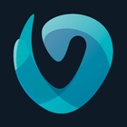 Vitova icon