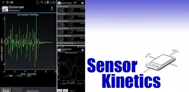 Sensor Kinetics