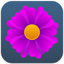 E-Commerce FlowerApp APK