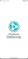 PolyWorks|DataLoop โปสเตอร์