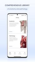 VOKA Anatomy Pro ポスター