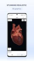 VOKA Anatomy Pro تصوير الشاشة 2