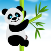 ”Panda Slide