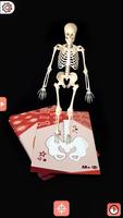 Body cards imagem de tela 3