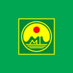 Mai Linh Insurance