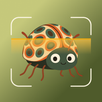 Insecto AI: Bug Identifier APK