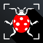 Insect Identifier-icoon