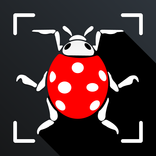 Insect Identifier: Bug scanner