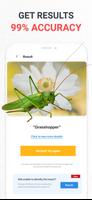 Insect Identifier captura de pantalla 1