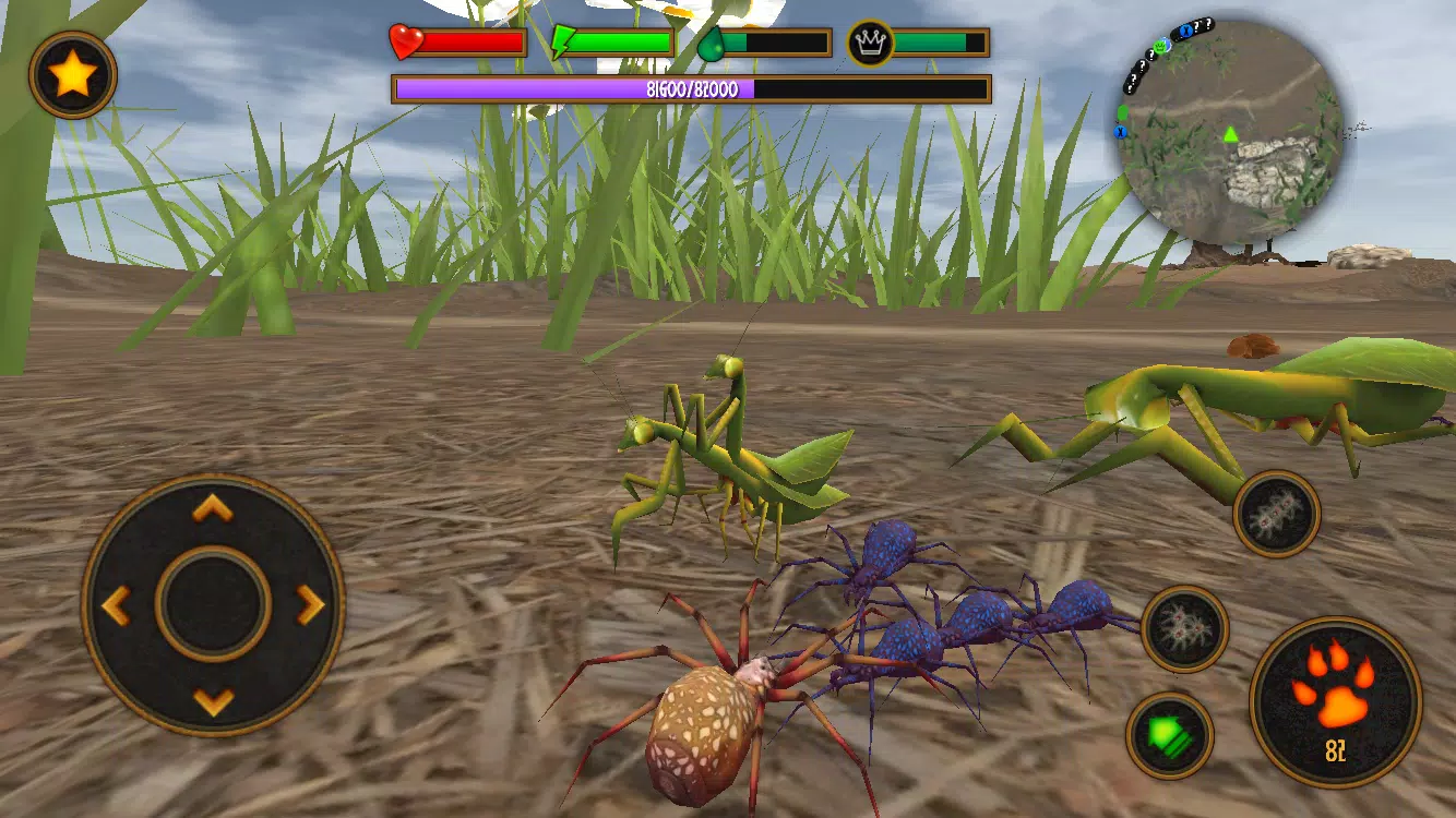 Download Feed the Spider (Mod) 1.0.5mod APK For Android